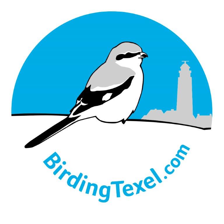logo birding texel