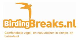 logo birdingbreaks 001