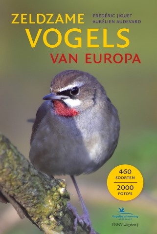 zeldzame vogels van europa Small