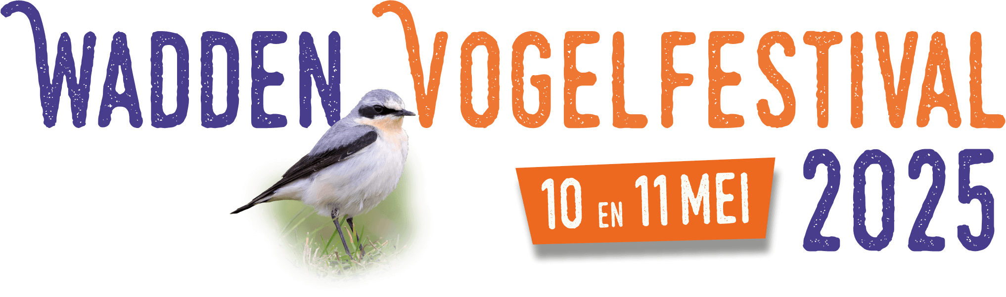 Wadden Vogelfestival